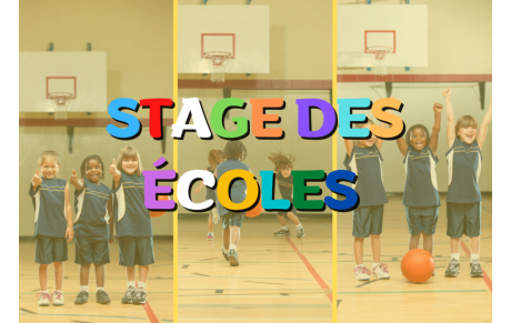 Stages des écoles 